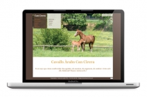 Client: Can Cirera